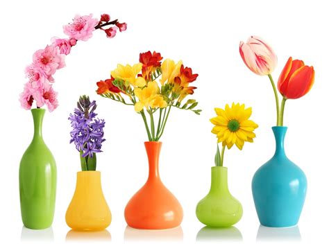 how much water for flowers in a vase: the art of nurturing creativity