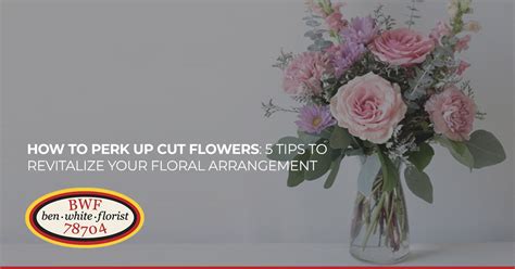 How to Perk Up Cut Flowers: Exploring Creative Techniques and Unconventional Wisdom for Floral Revival